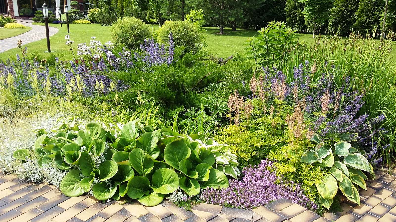 кп "Папушево" - Профессиональный уход за садом - 100% качество!