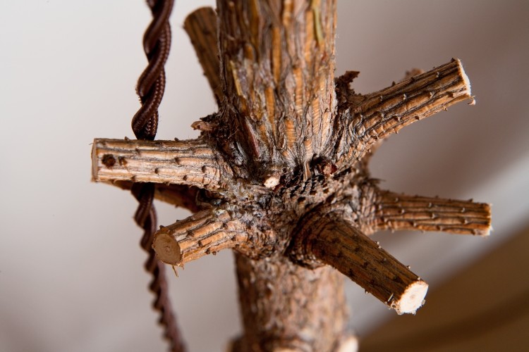 Камерная московская квартира