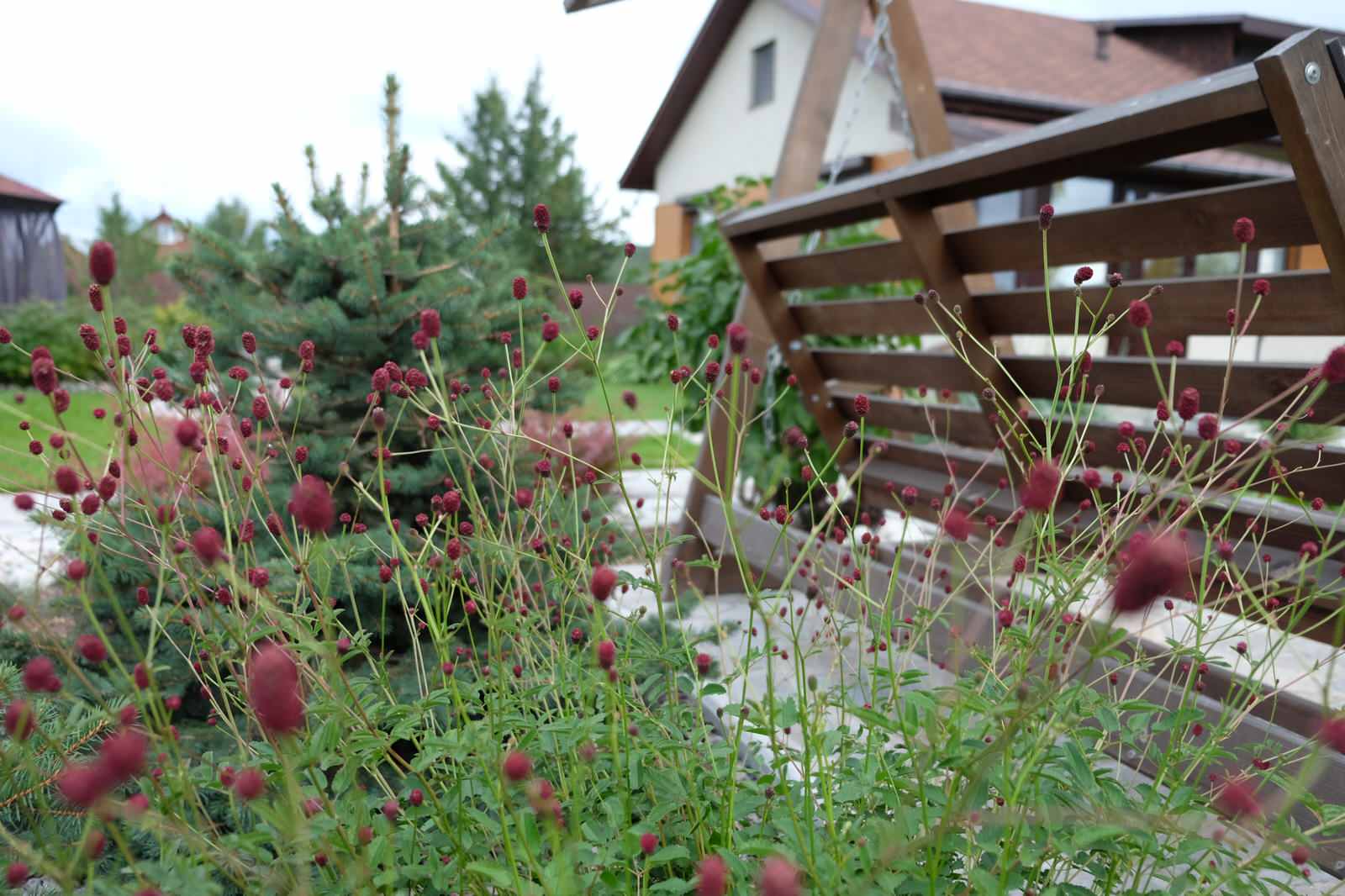 Дом под открытым небом