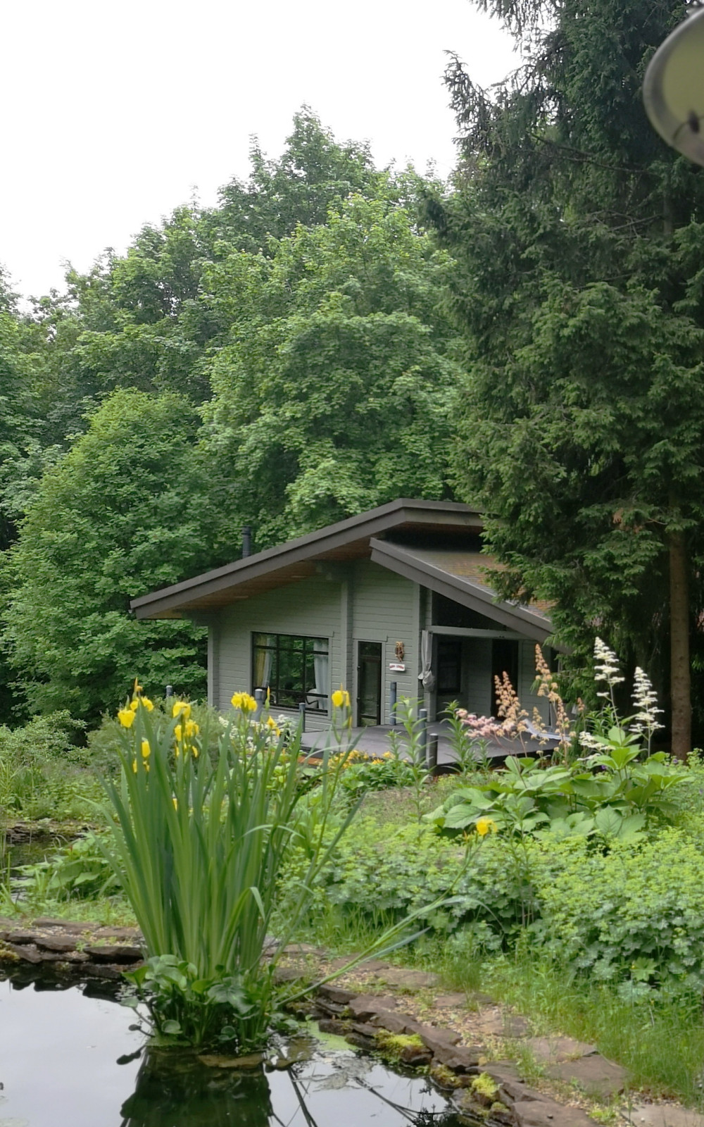 Обложка проекта: Банный домик