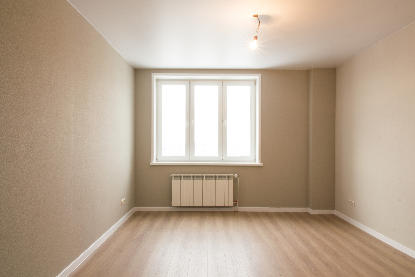 Проект "Минималистичный сканди"