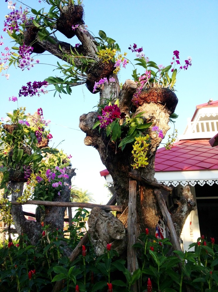 Личный опыт: Жизнь в Таиланде своим домом