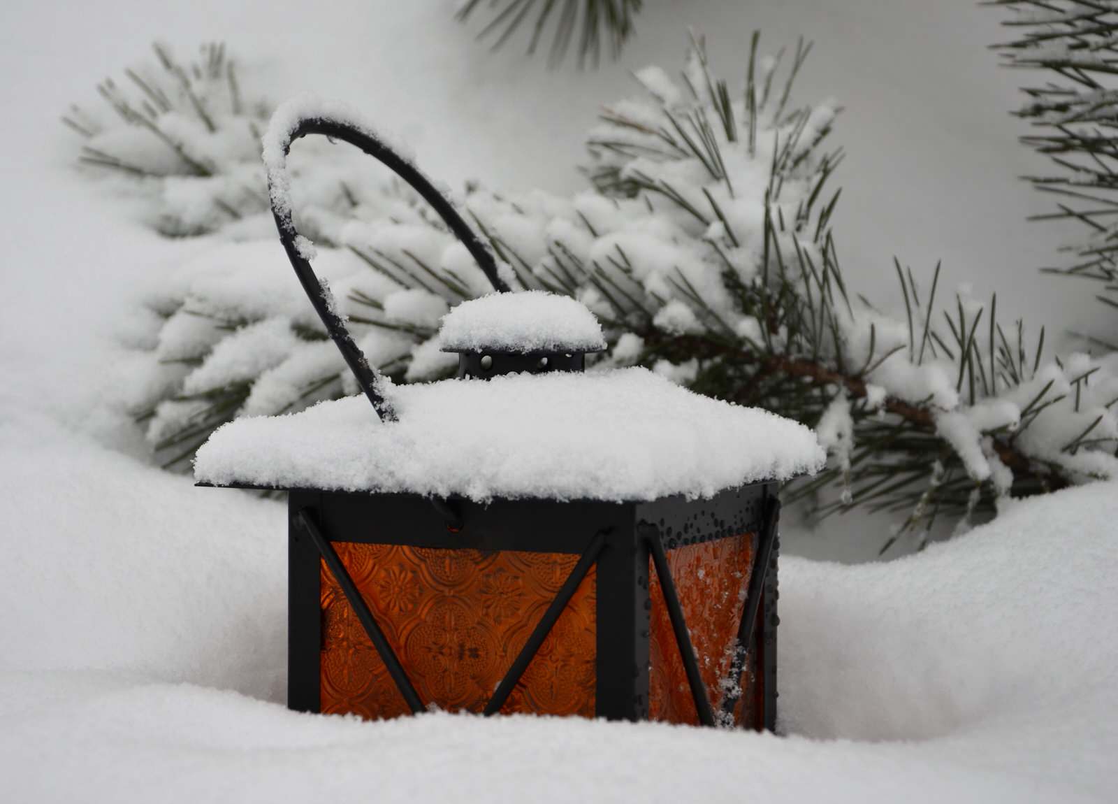 Инструкция: Проверяем документы и участок перед покупкой дома