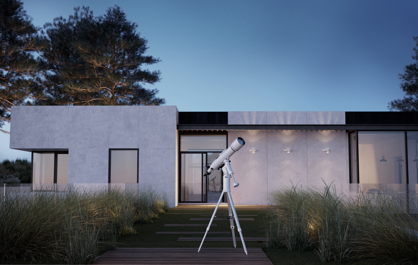 HOUSE GRASS interior