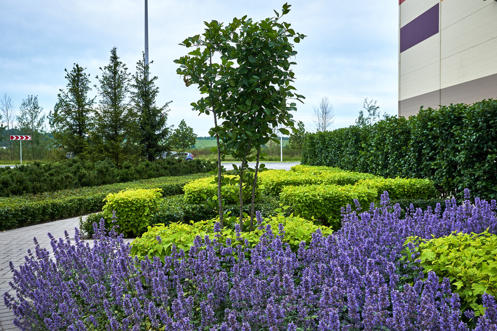 Как правильно: Сочетать растения по цвету на клумбе