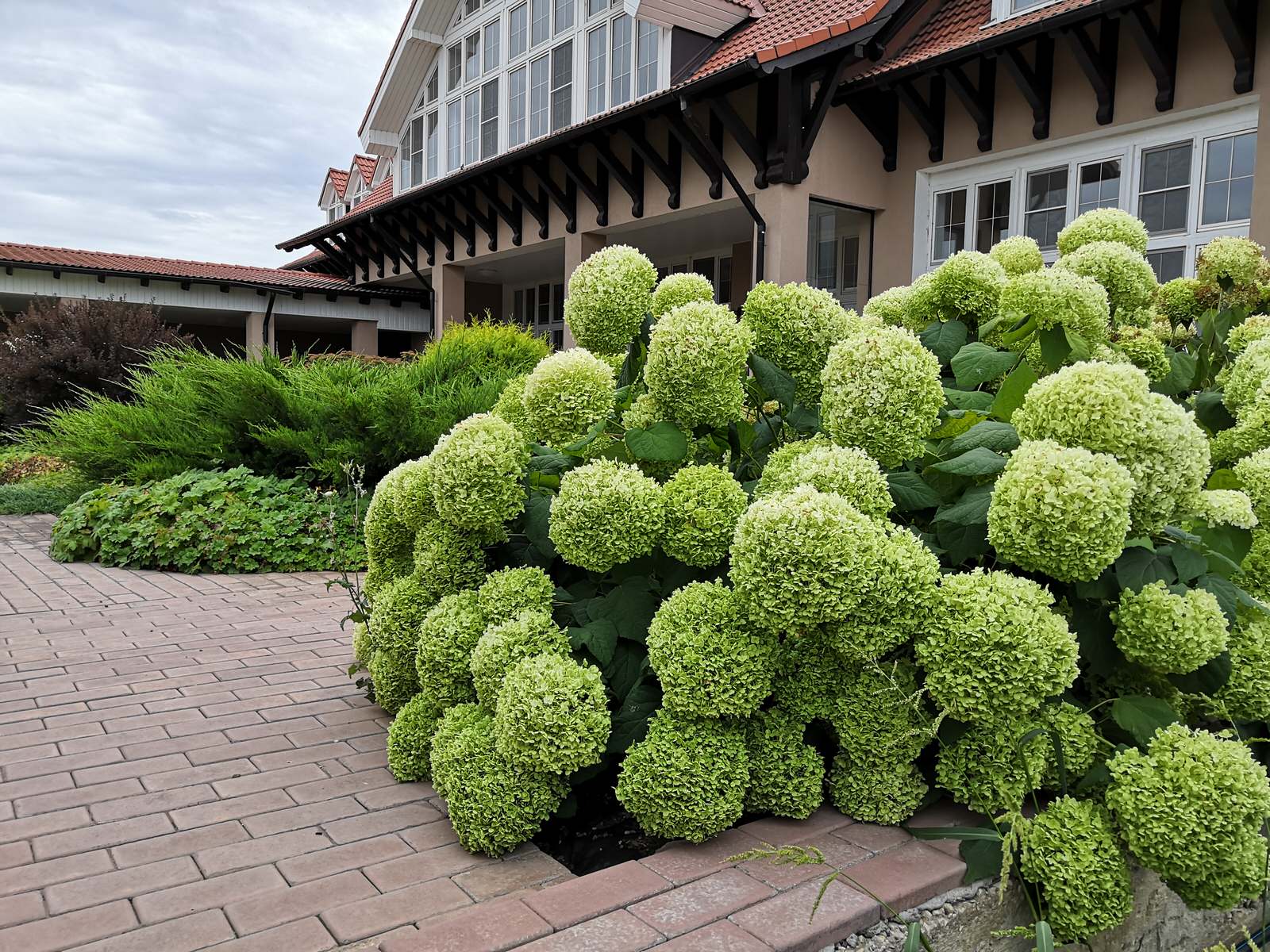 Сад на двух ярусах