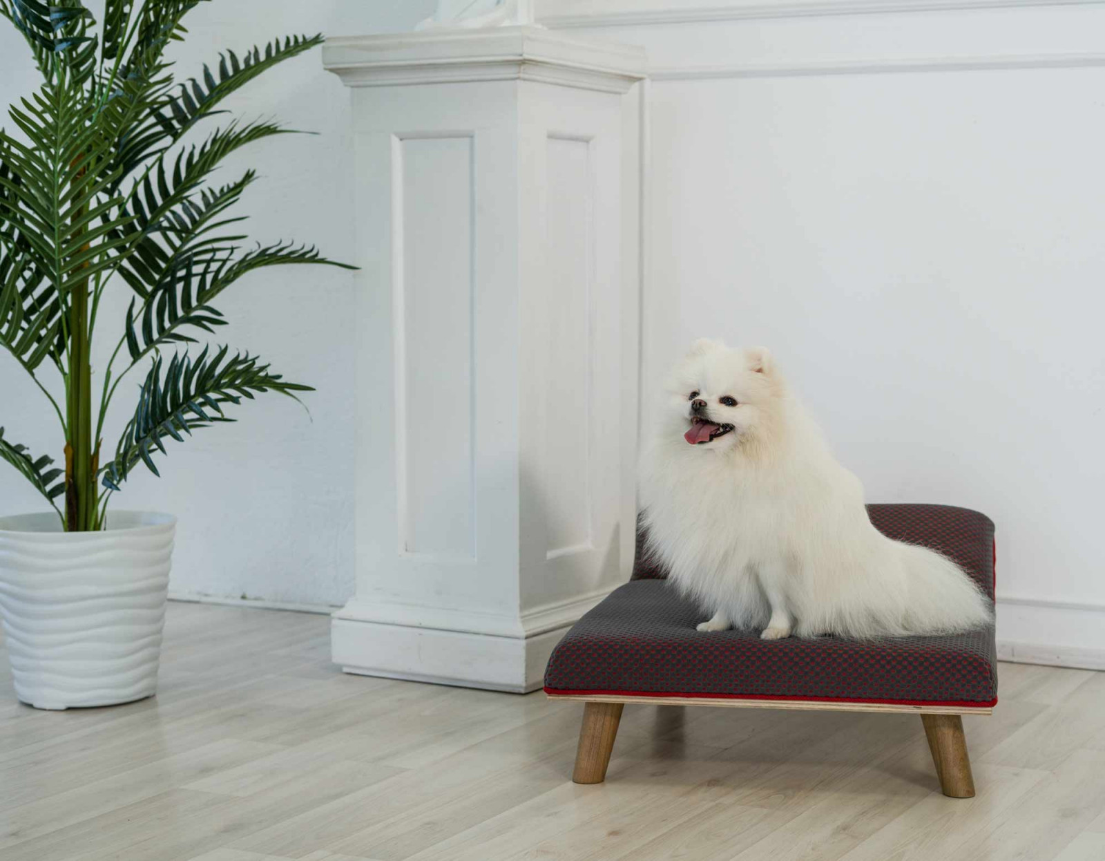 Авторская мебель для животных. Модель SONO-R