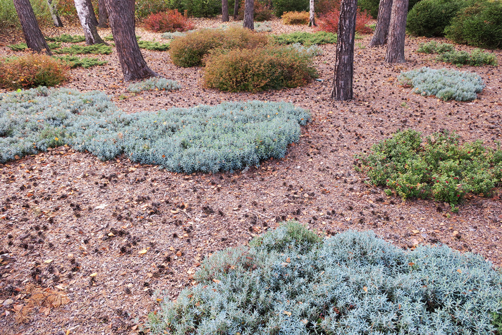Не нужно бояться темноты