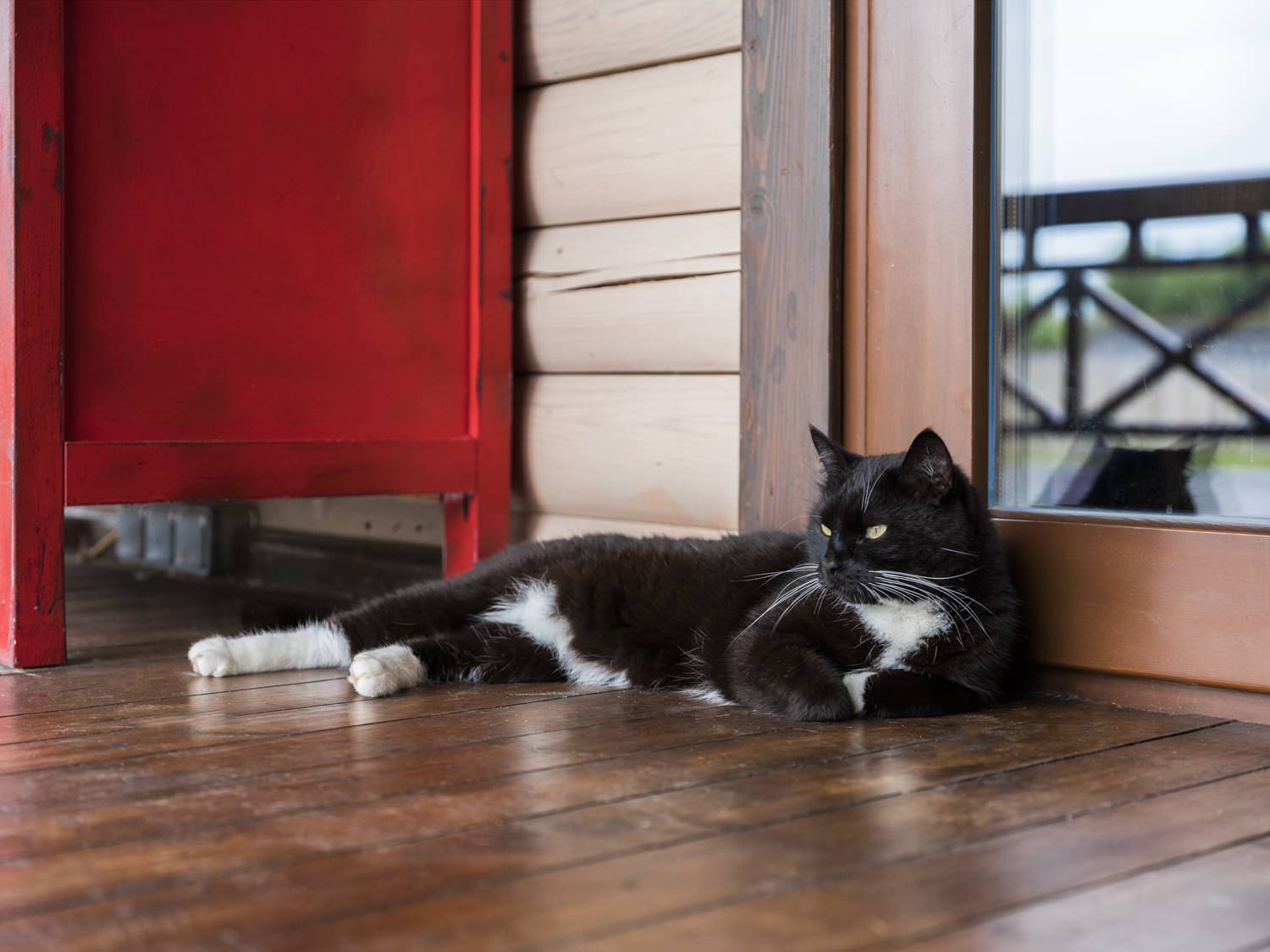 В гостях: Маленький дом-баня  с огородом на приподнятых грядках
