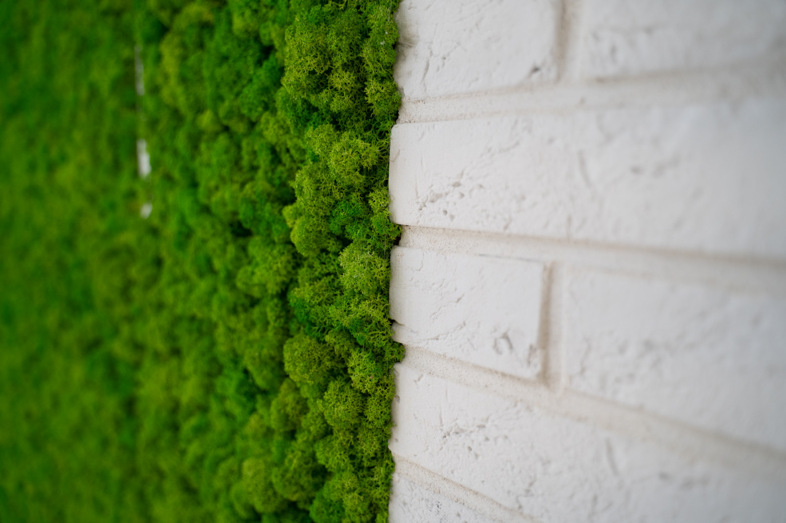 Отделка квартиры на ул. Запольной