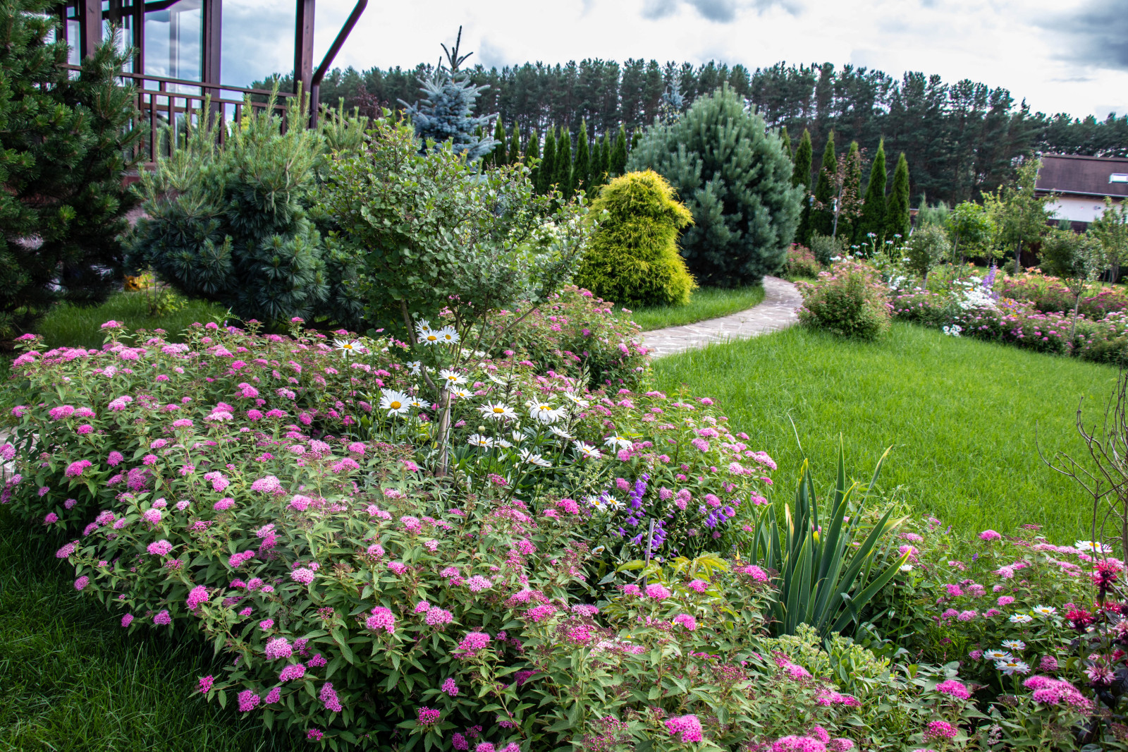 Сосновые берега