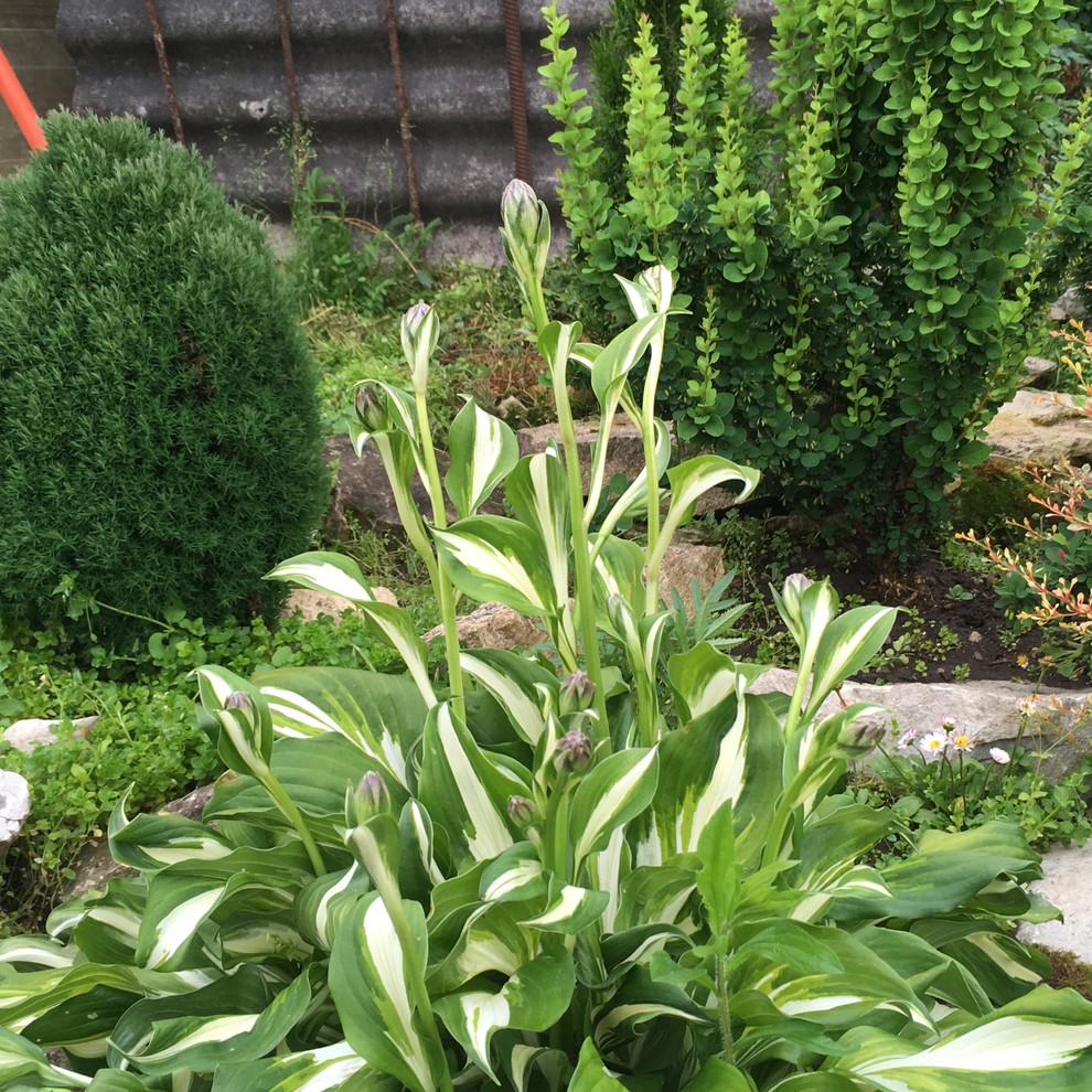 Реставрация старинного сада в калужской области