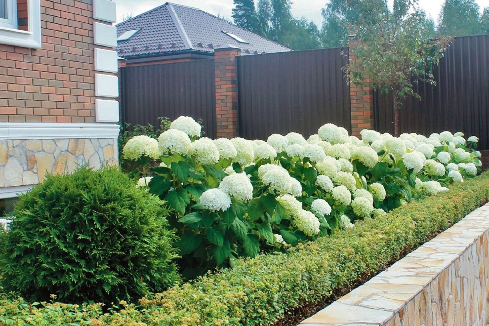 Обложка проекта: КП Тихие Зори