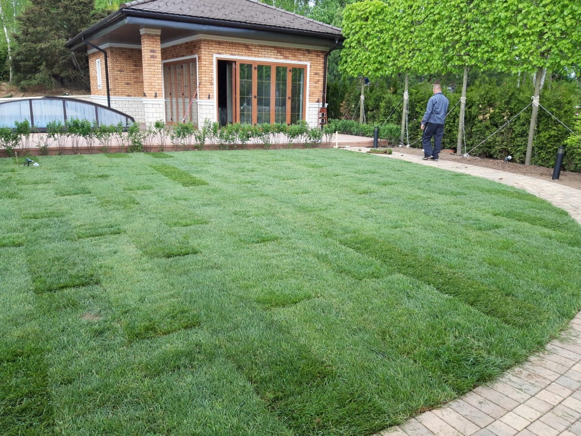 Landscape design of the territory (Moscow region)