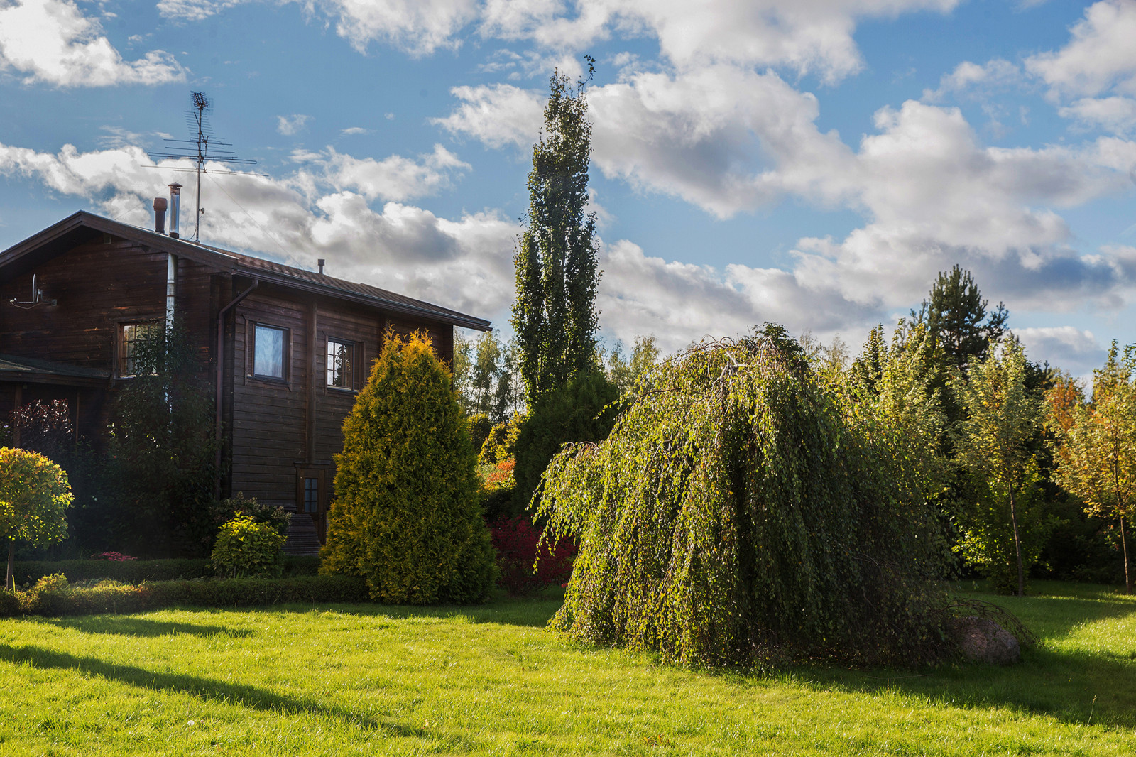 Парк в  Шаховском районе