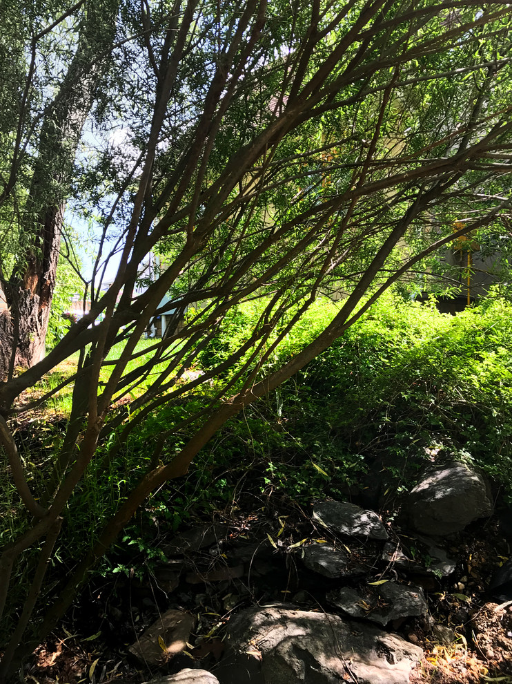 КП Княжье Озеро, 0,16 га