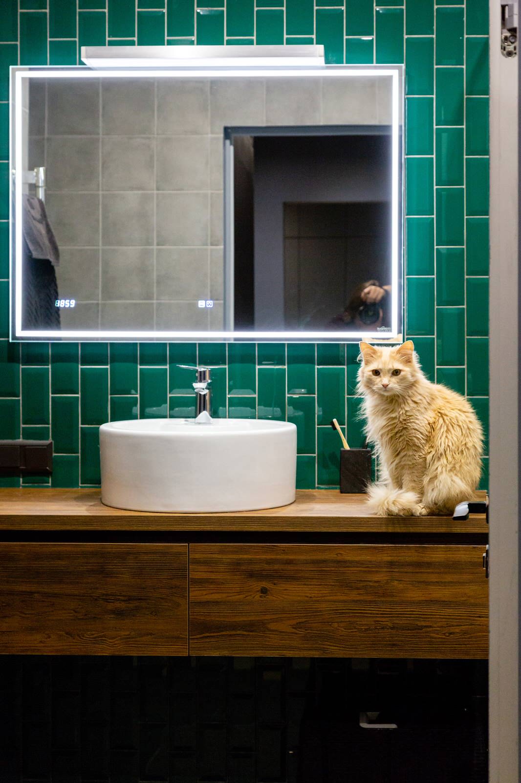 дизайн-проект ванной