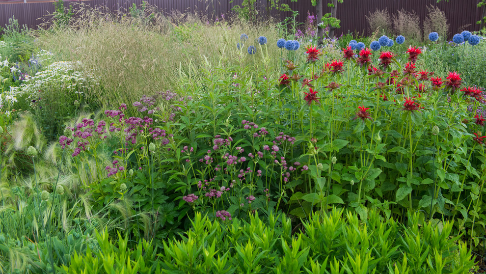 Цветник в  природном стиле  (" New Perennials"  или "Новая волна")