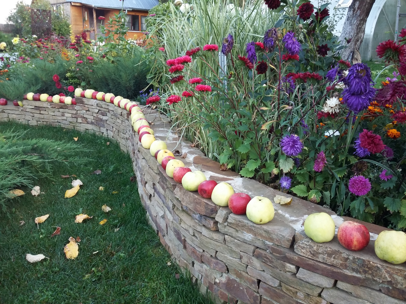 д. Косово - Уход за садом - 100% качество