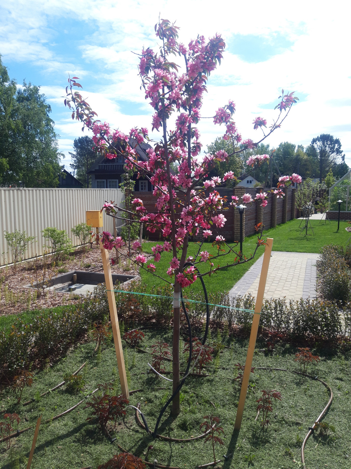 Лен. область. поселок Морозова