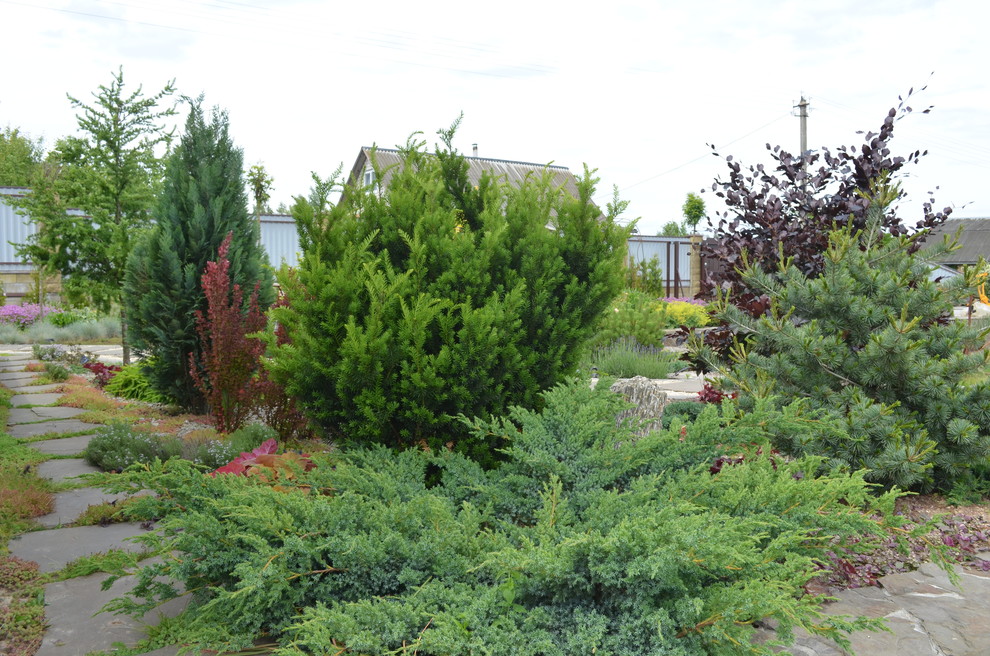 Сад "Ароматы Прованса"