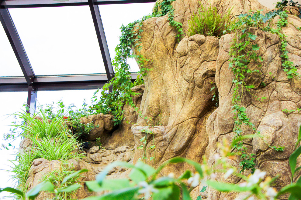 Тарасовка, зимний сад, 2012-2013 гг.