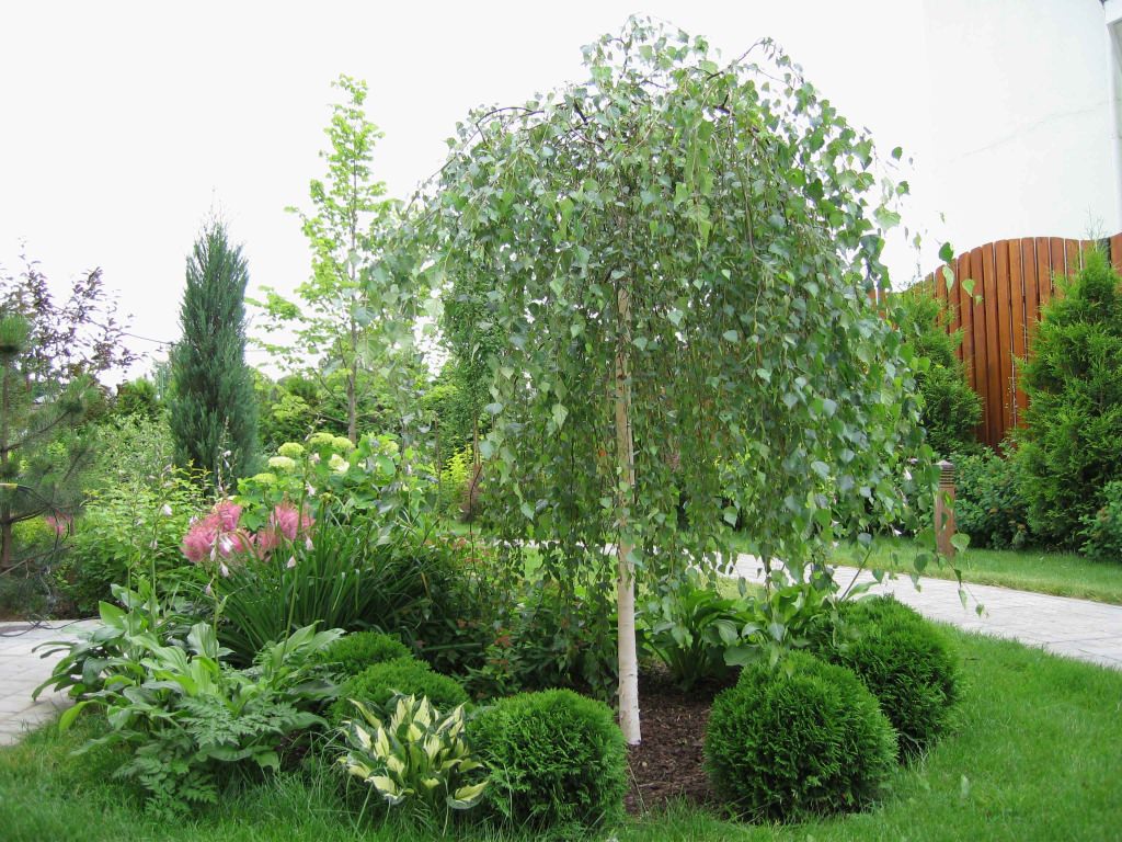 Обложка альбома: Сад