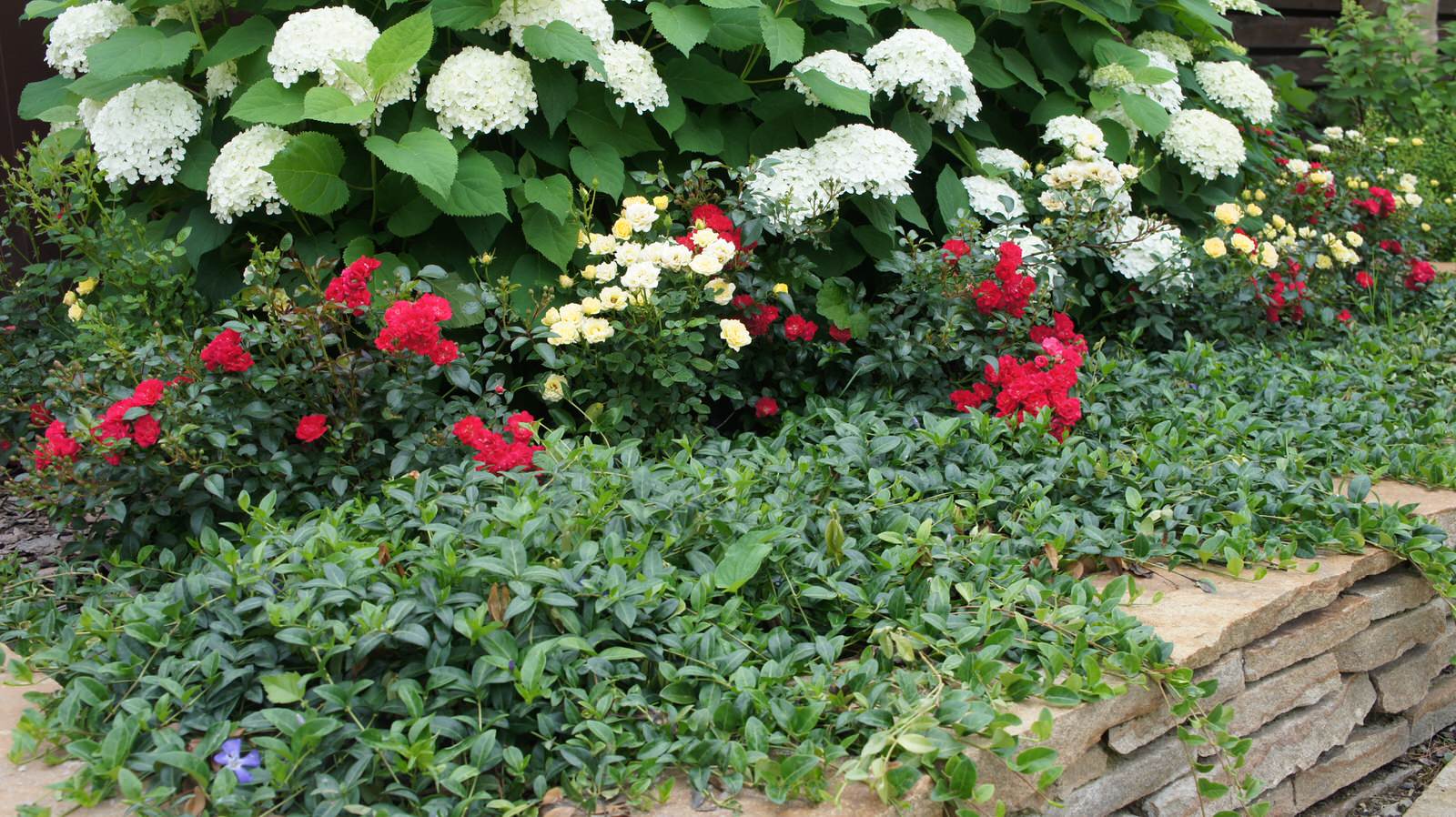 Прохорово лето 2017