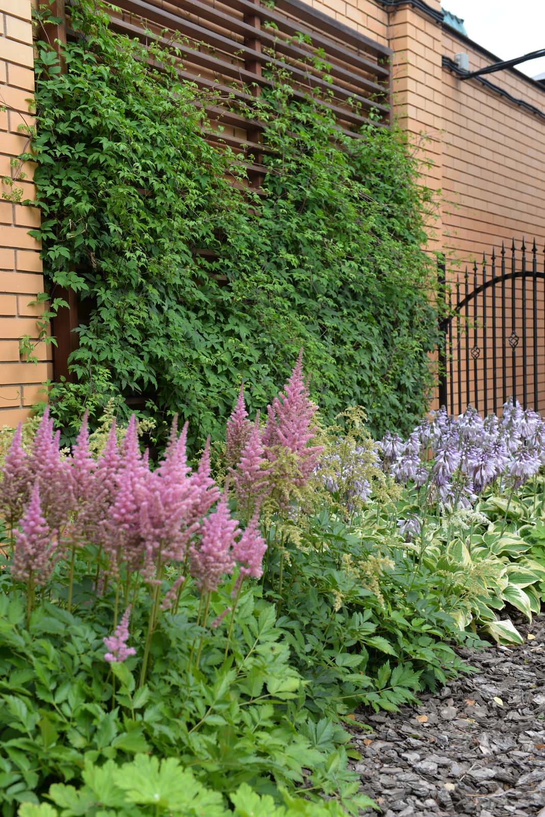 От знакомства до последнего цветника 6 месяцев