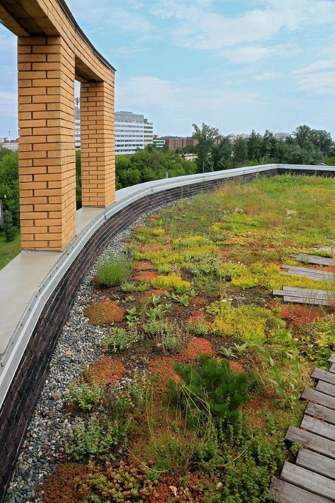 Обложка проекта: Озеленение крыши административно-делового центра «Шереметьевская, 34»