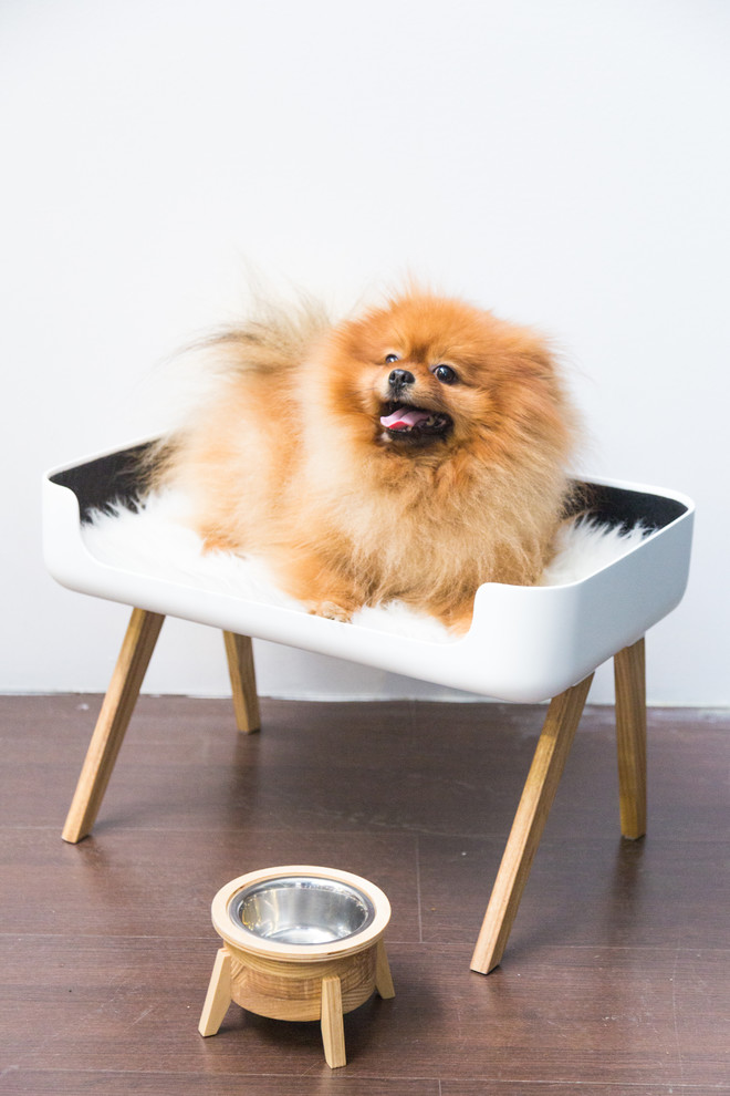 Портрет: Сергей Семенов и его «прекрасные объекты» Fineоbjects