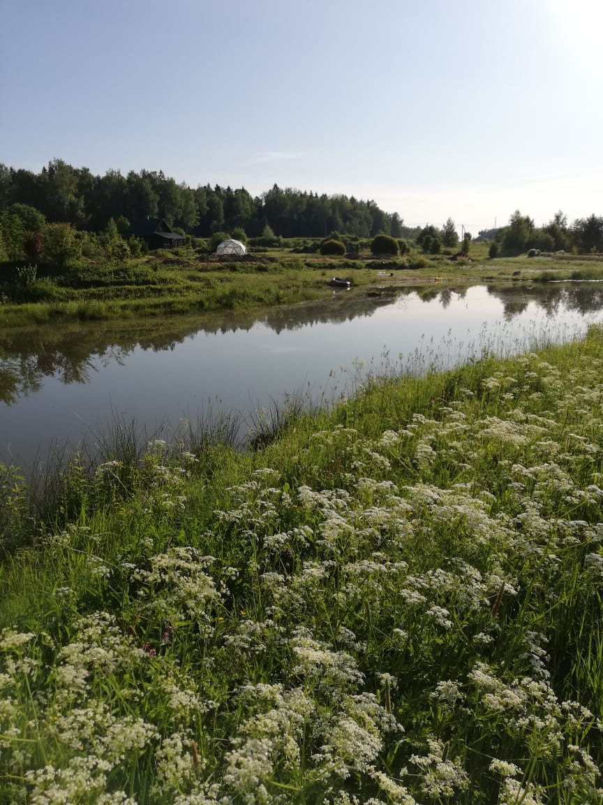 Пермакультурная личная усадьба.