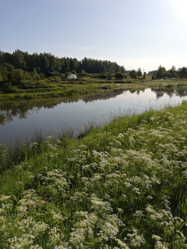 Пермакультурная личная усадьба.