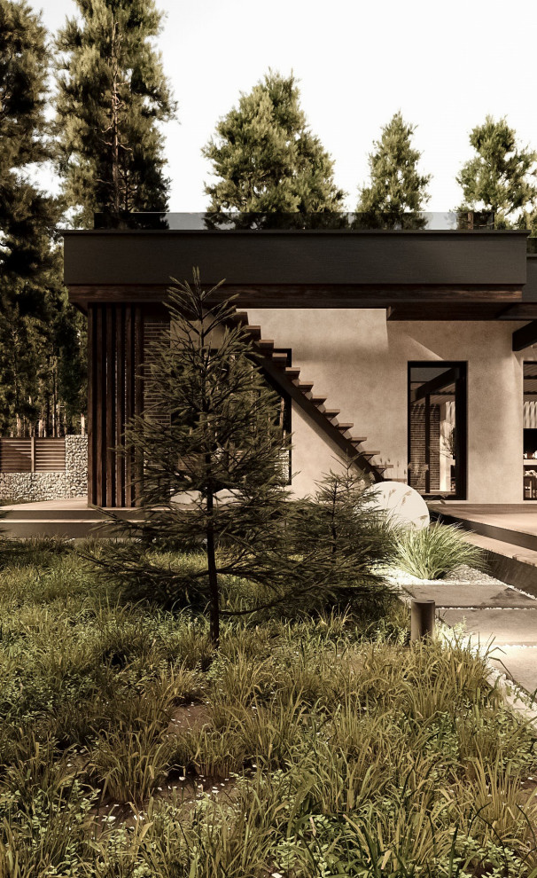 Фасады частного дома в Санкт-Петербурге