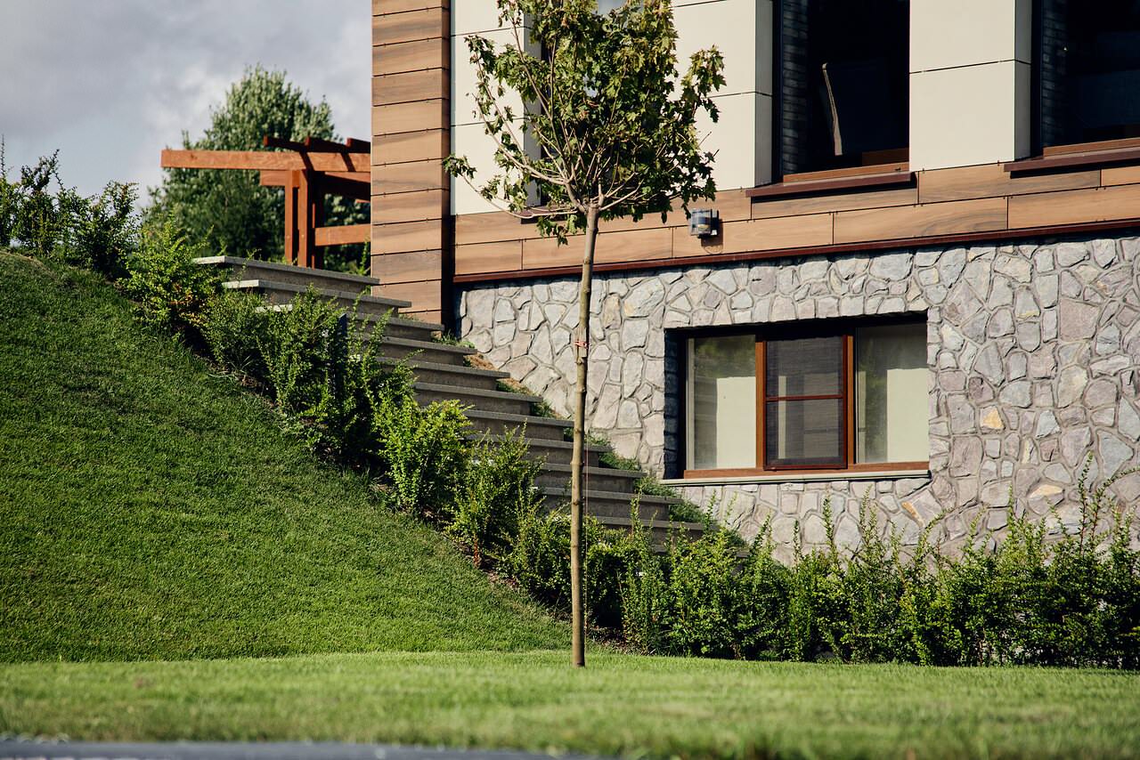 Карелия сад