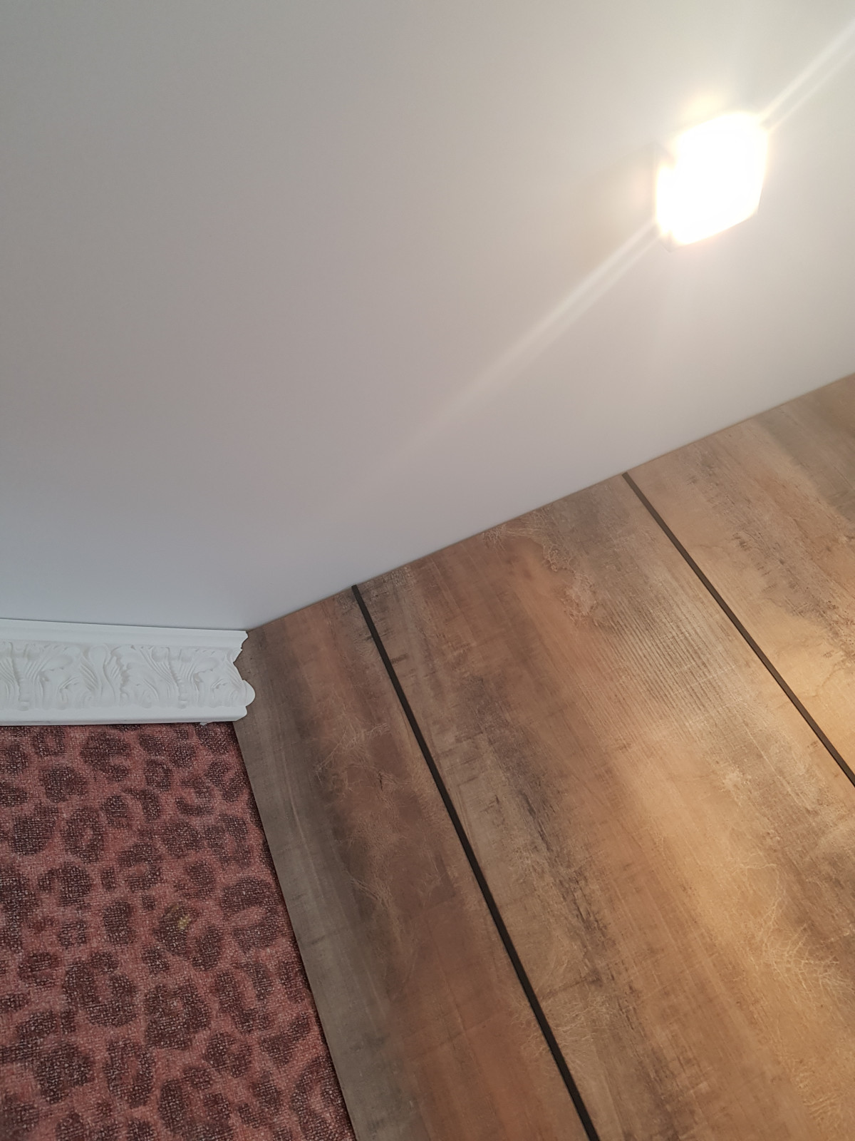 Проект "Дикость_2020" гостиная