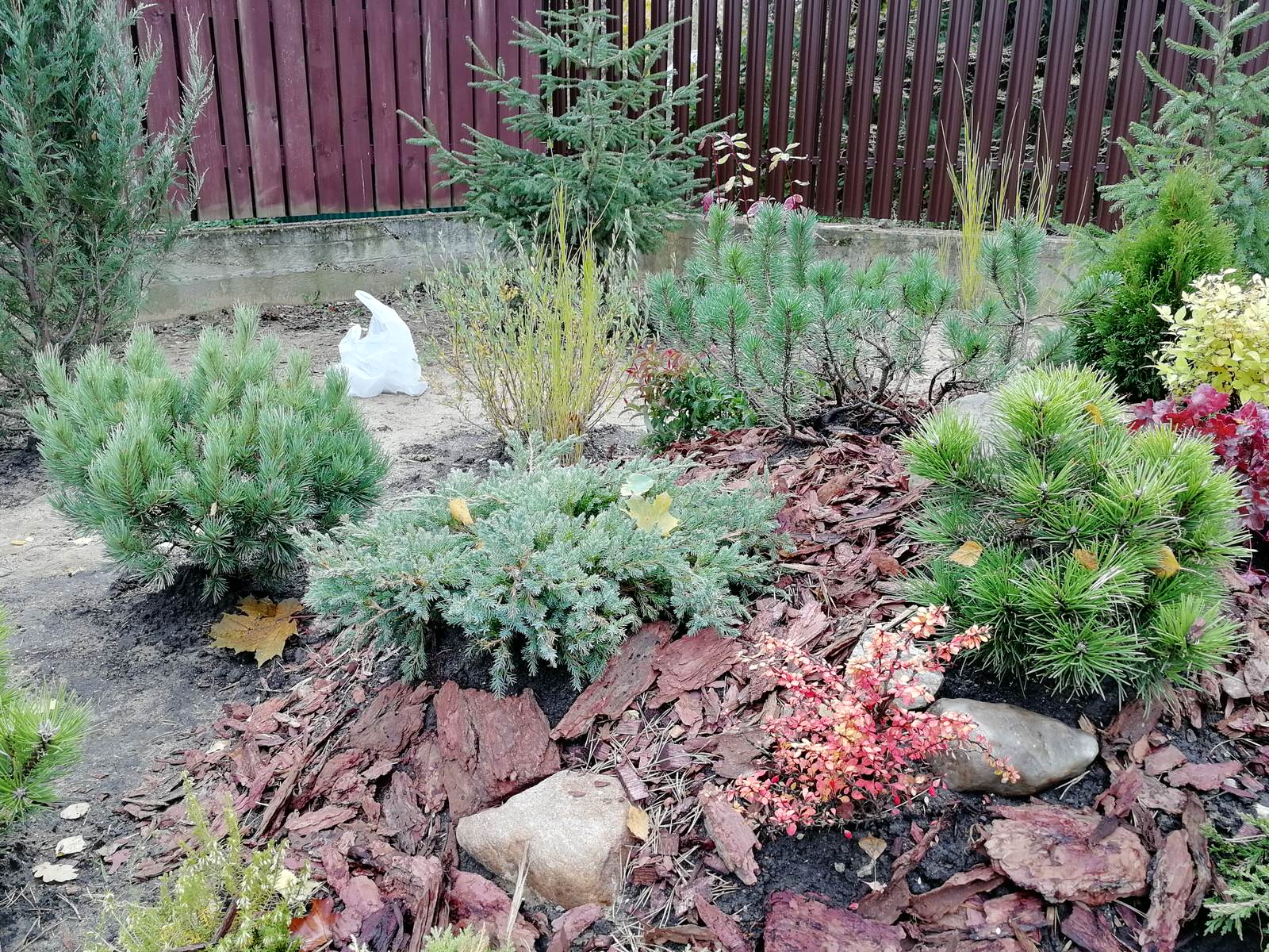 Реализация проект " Вечная любовь"