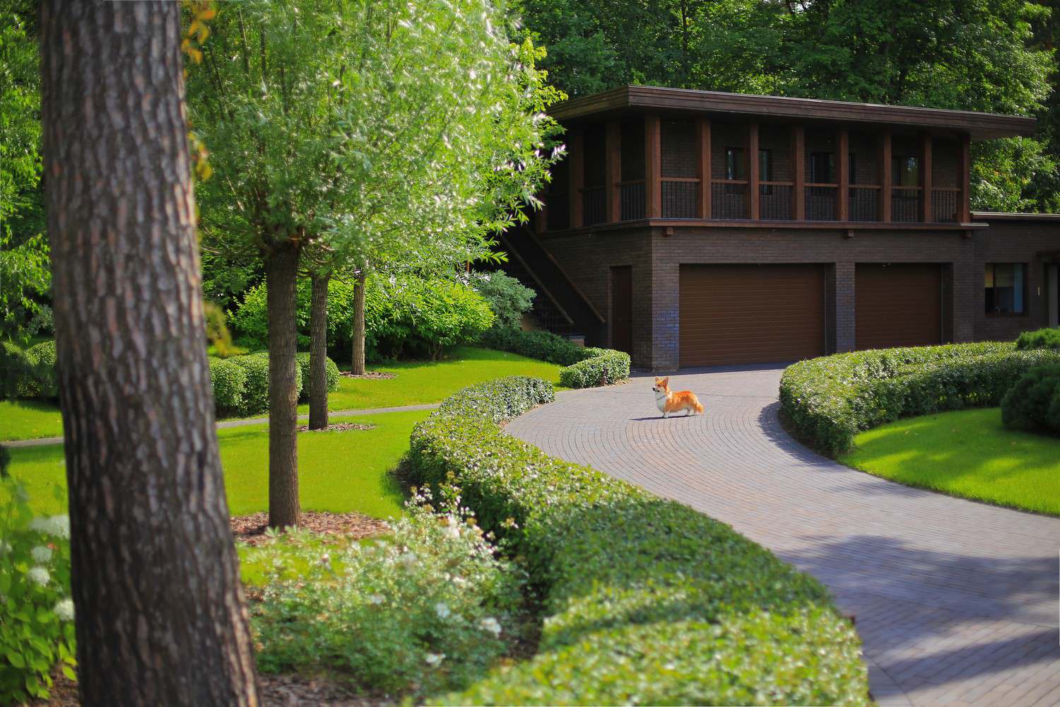 Обложка проекта: Жуковка