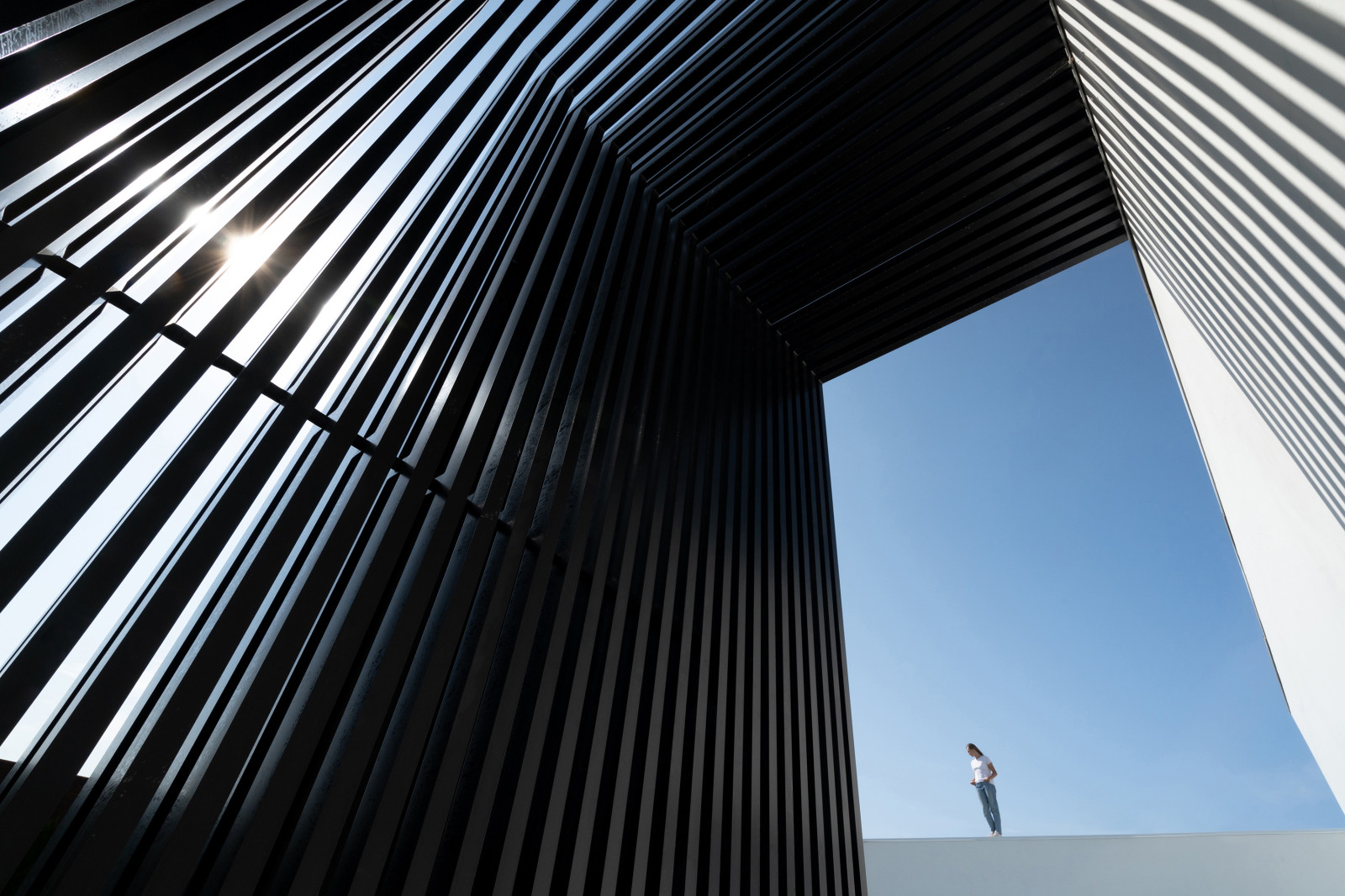 Современный дом c бассейном в Ростовской области