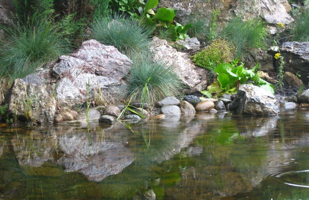 Наши водные объекты