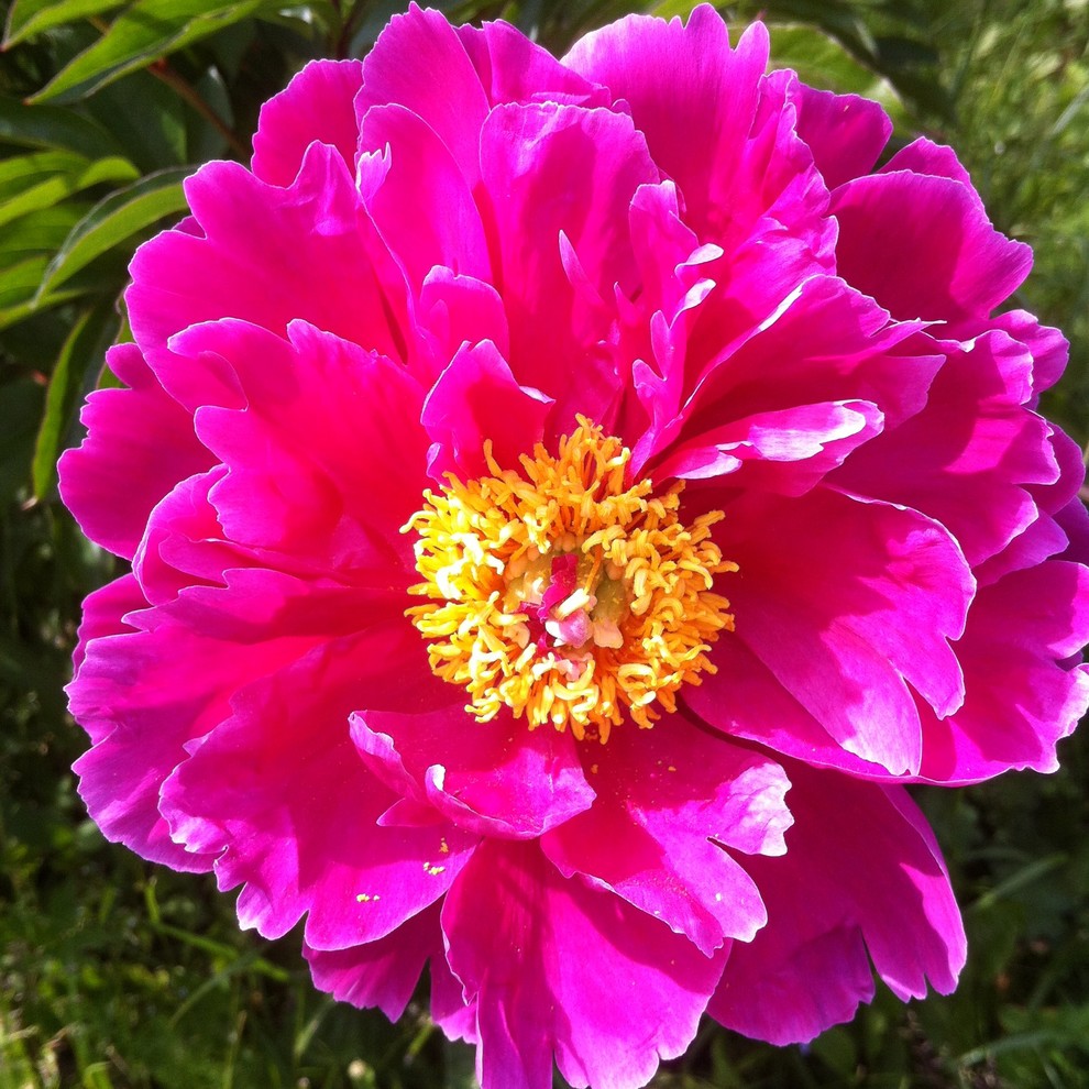 Яна Иванченко