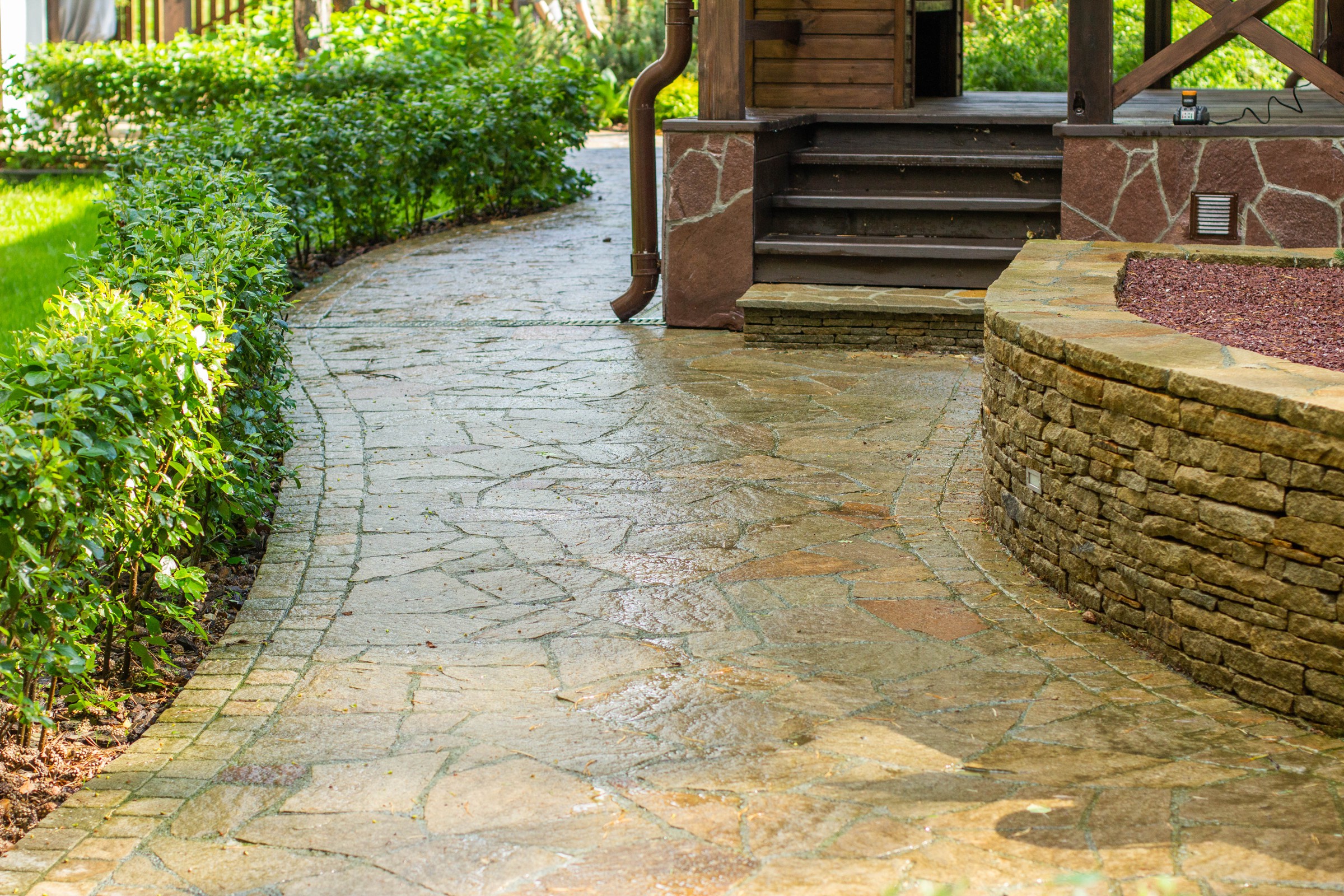 У леса на опушке