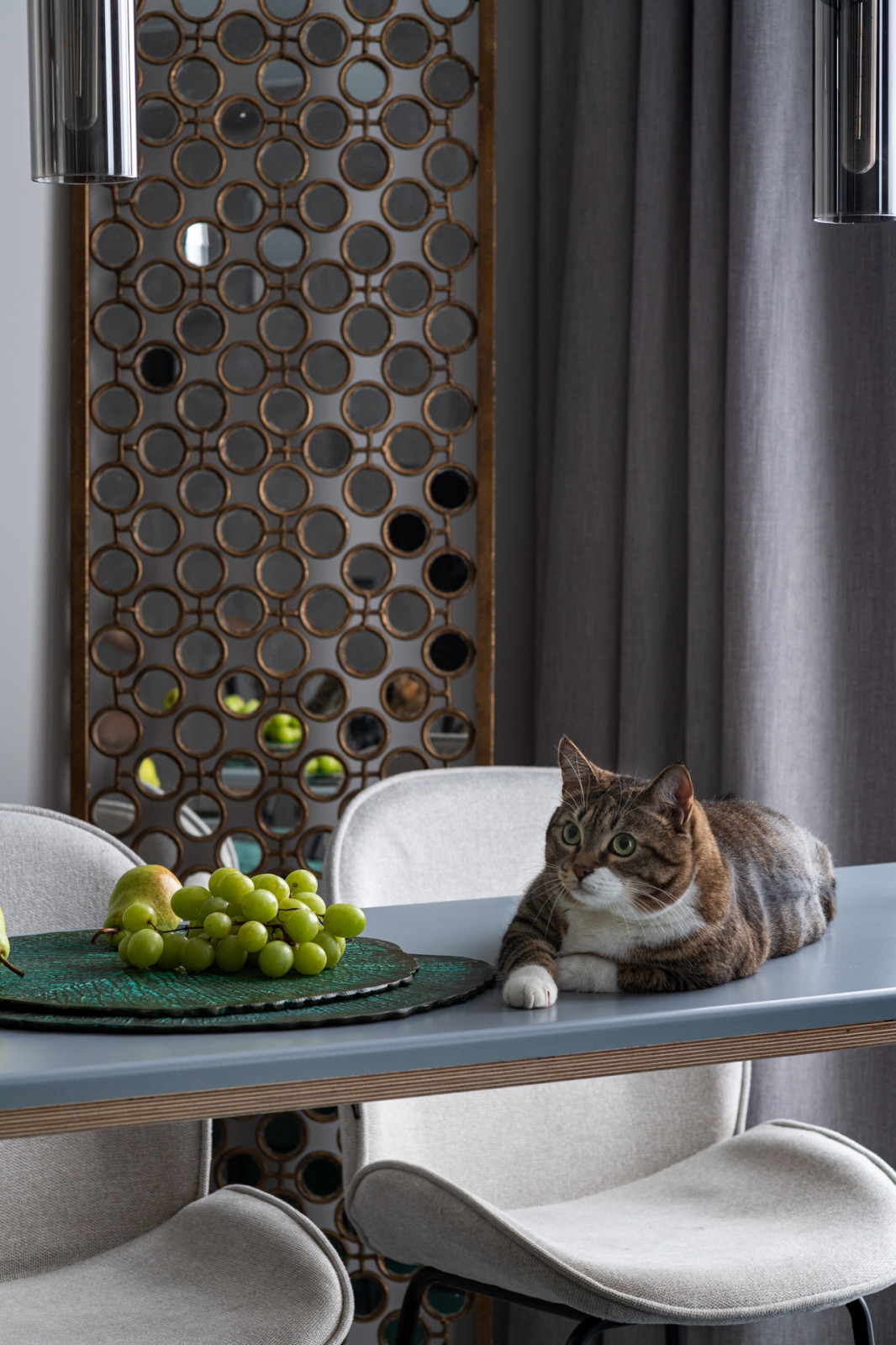 Кошачий рай