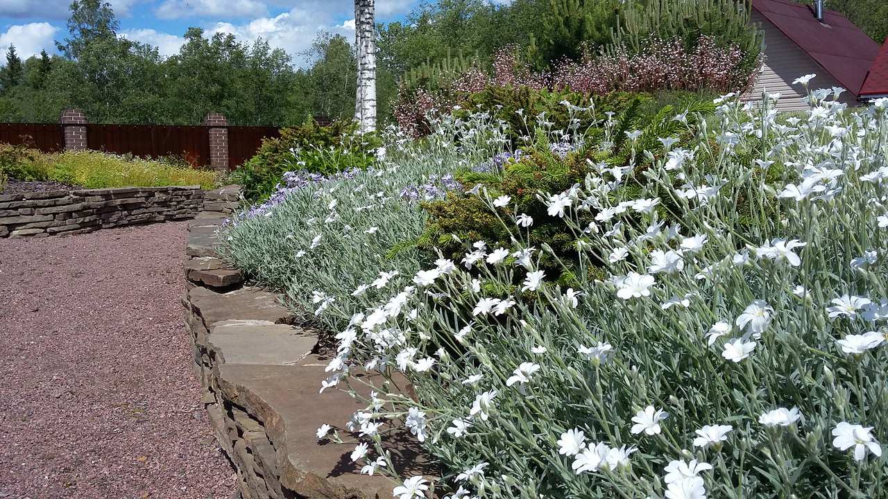 Сад  на холмах