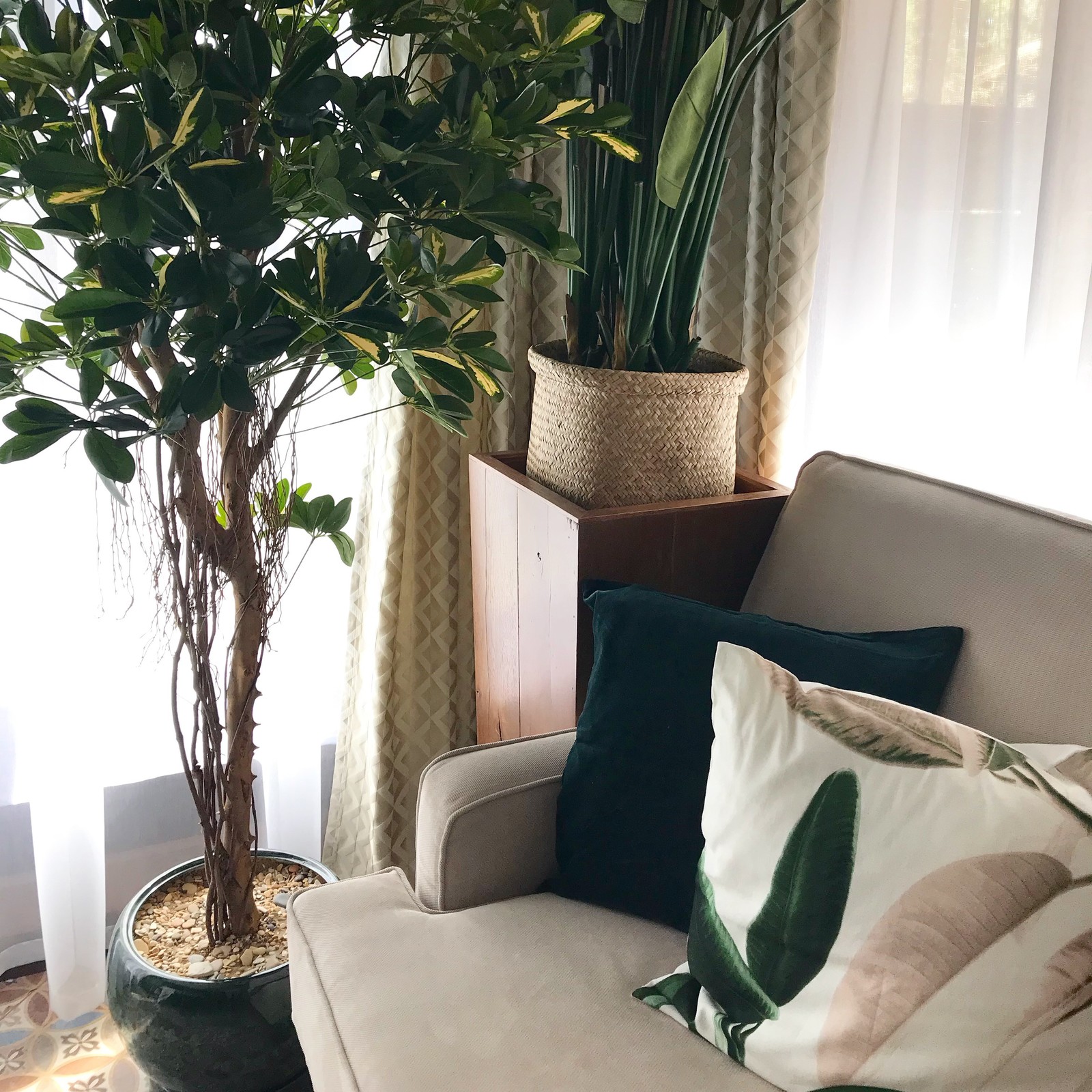 Дом между соснами (реконструкция)