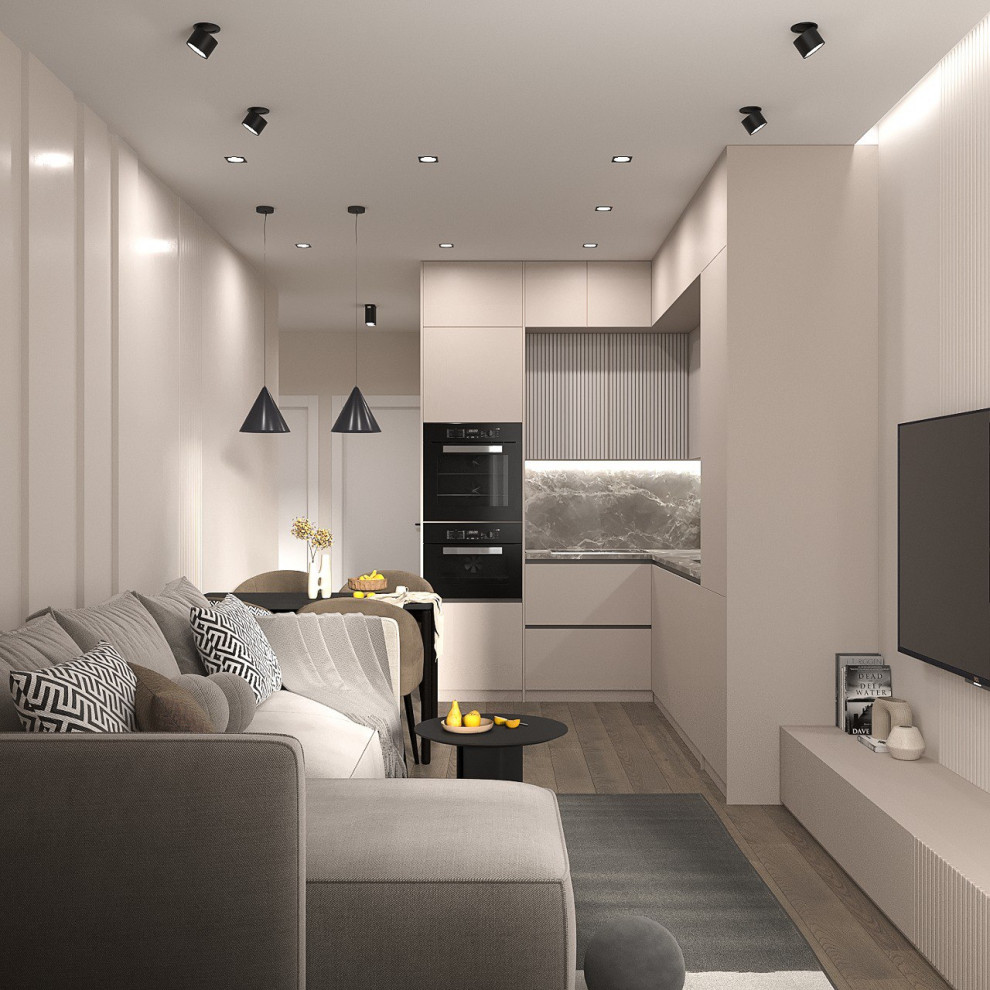 Кухня-гостиная 17,6 м2