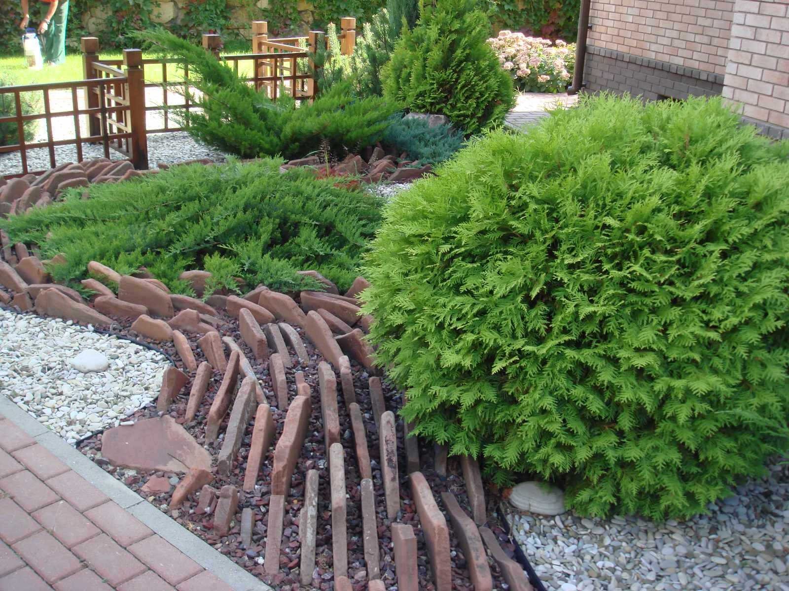 Сад "Динамика движения"