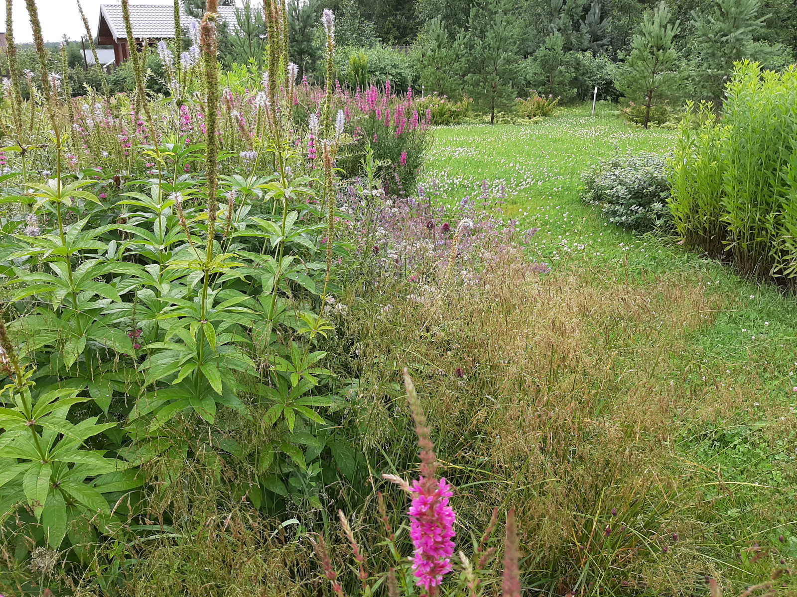 Сад "Три плюс два"