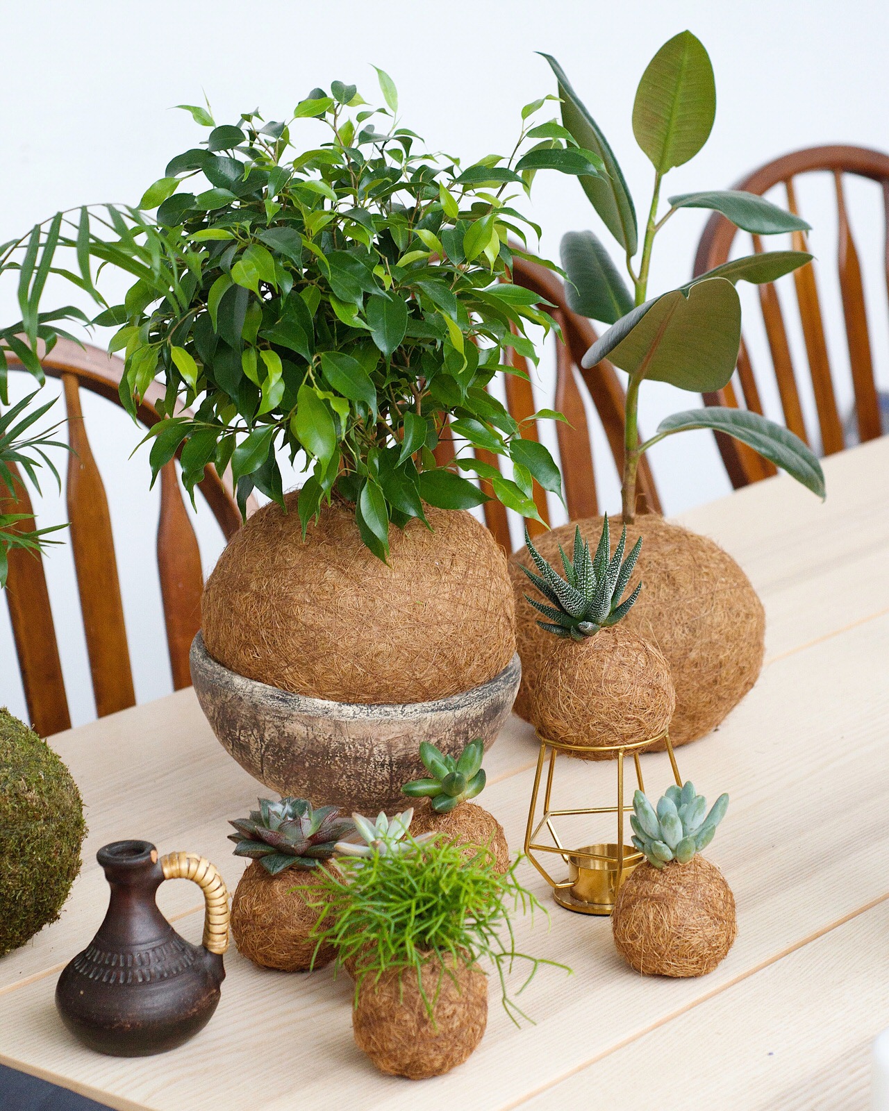 Кокедамы в интерьере