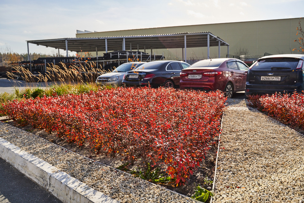 Озеленение промышленной территории